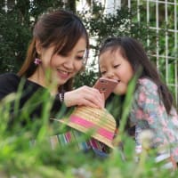 昼前までに冷凍庫設置終わり〜やれやれ、