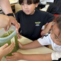 ７月３日　西保育園で、日本茶教室
