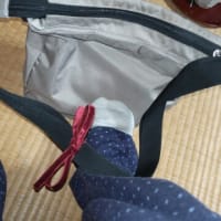 掘り出し物見つけた
