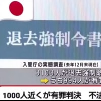 不法残留外国人が日本国に居座りっている犯罪歴も有る外人を放置していて問題が大きくなる‼️
