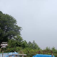 半月ぶりの金剛山（761回目）