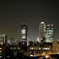 高層ビル夜景 ヨシヅヤ名西店屋上から 090520