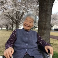 #お花見🌸
