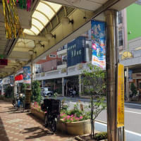 小岩で床屋に行った後　讃岐うどん食堂「元咲（げんき）で馬刺しと野菜の天ぷらとかけウドンのハーフを楽しんだ。