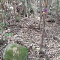 五剣山登山