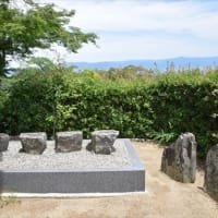 矢田寺 紫陽花