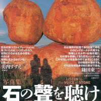 キジムナーの杜へ行ってきました