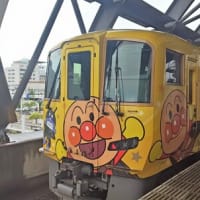｢霜柱と蝋梅の森｣高知編。１０年ぶりの高知到着