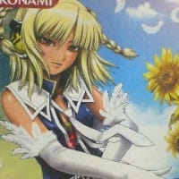 家庭用弐寺１２　ハピスカ。