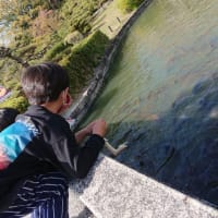 気付けば4月、新学期です♪