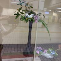曇りのち晴れ　午前から動いた金曜日