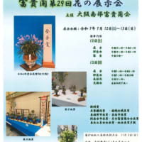 大阪南部富貴蘭会 第29回花の会展示会！