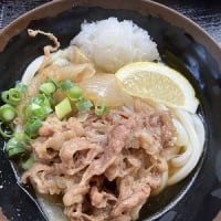 かけが２２０円！手打ちうどん古奈や＠高松