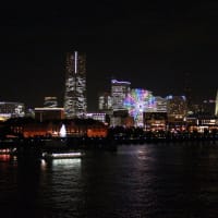 ミニ東京・横浜旅行４