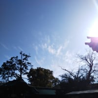 WBC、感動しました。