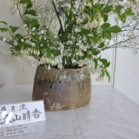 篠窪（しのくぼ）の隣町 草月流佐久山様が「エゴノキ」を生ける(2025/05/13）