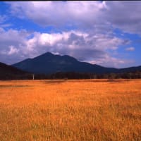 尾瀬の草紅葉
