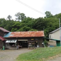 今日はK氏とサクランボ狩りに