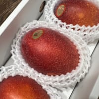 リムパーザ卒業357日目　太陽のパワー❤️