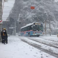 2/8、逗子も大雪、横須賀線運休