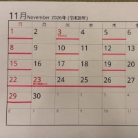 2026年坂根医院の日程表