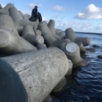 旅行ツアーの同行配送と合間の釣り