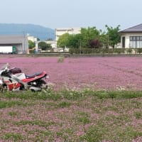 連休だものﾊﾞｲｸも乗るさの走