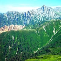 北アルプスの山岳と山野草　（三俣蓮華岳）