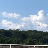 何年かぶりに山の窯を焚きました