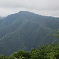 2025/6/1(日)　中央線沿線・陣馬山　