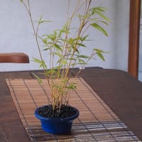 贈答いろいろ