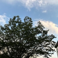 今日は・・