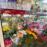 35本の薔薇の巻
