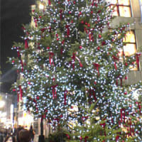 今年のクリスマスツリー