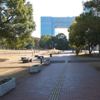 １月のお台場：船の科学館敷地前からウエストプロムナード散策道・南端部内へ　ＰＡＲＴ１