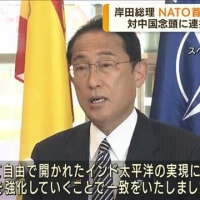 高田健さん（「許すな！憲法改悪・市民連絡会」共同代表）が、岸田首相のＮＡＴＯ首脳会談出席に「メディアを含めて疑問や批判がなく外国との軍事協力が当たり前のことと受け取られている。非常に危惧している」