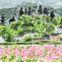 「診療所」が現在闘っている病気