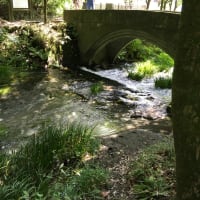 熊本の避暑地　小国、産山村（うぶやま村）熊本の北海道、私の勝手な思い、熊本市内では、３７℃の猛暑、行ってみた、