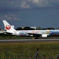 伊丹空港を発着する飛行機