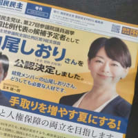 もうオワコン。国民民主党の参院選のキャッチフレーズが衆院選公約の「手取りを増やす。」に「夏」を加えただけの「手取りを増やす夏」。賞味期限切れで有権者に飽きられた玉木雄一郎と民民ゼミに騙されるな。