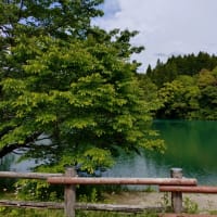 新緑の大台町