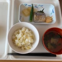 ガストの食事と、病院食。