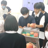 今日の学園の様子