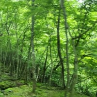 今の時期アウトドアで注意すること