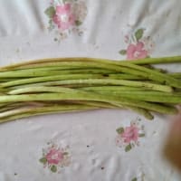 畑へ：’25-6-5