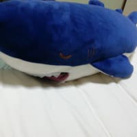 サメ
