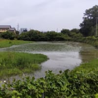 みよし：ため池巡り（打越町）