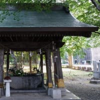 伊弥彦神社で茅の輪くぐり