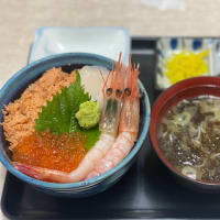 函館朝市を散歩。