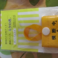 休日の午前は匠宿で箸作り